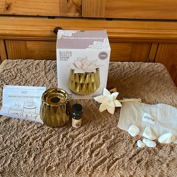 Bluzen Succulent Stone Diffuser. Beautiful gold and white. Ceramic rope wicker. - Picture 4 of 12